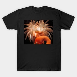 Caribbean Flamingo T-Shirt